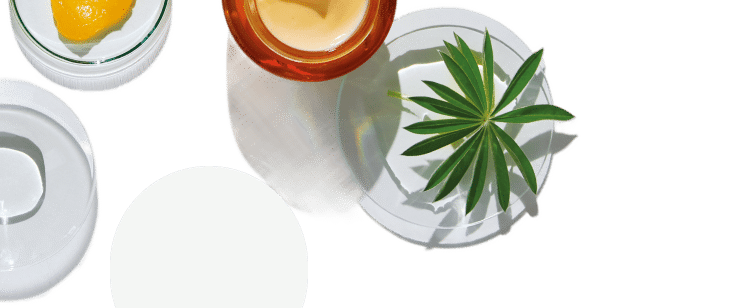 Notre science : allier les actifs dermocosmétiques
à la puissance des plantes médicinales